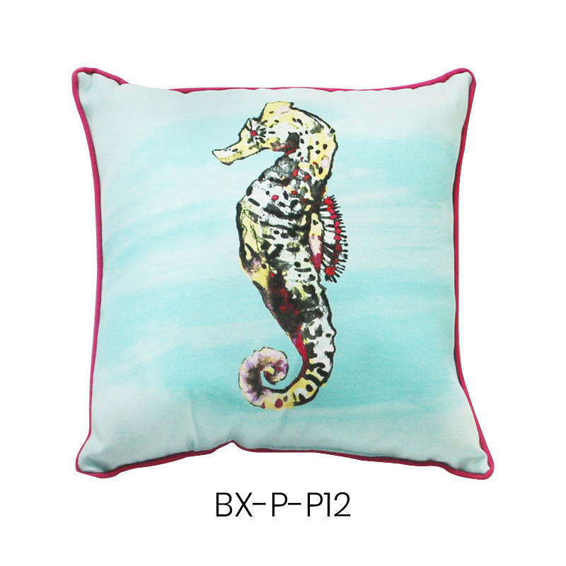 BX-P-01 Throw pillow