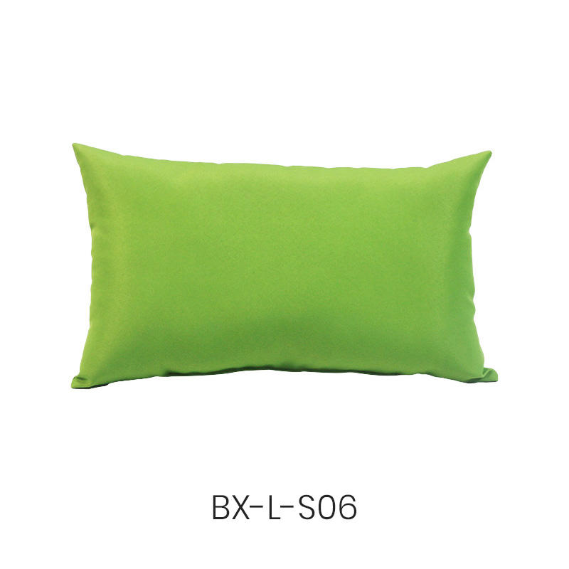 BX-L-S01 Lumbar pillow